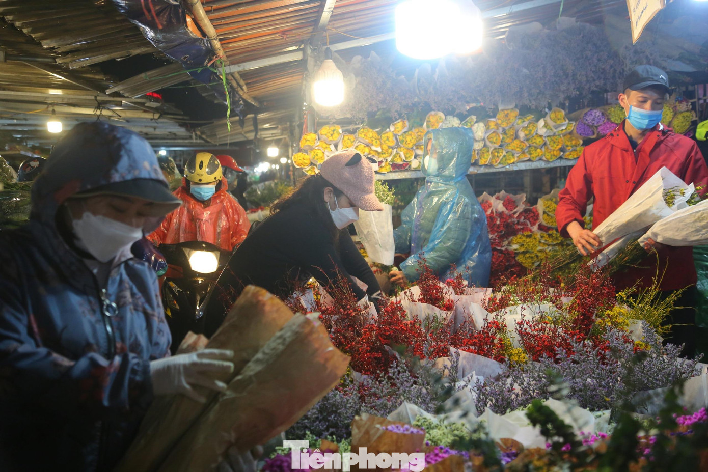 Theo ghi nhận của phóng viên báo Tiền Phong trong tối ngày 13/2, dù mưa rét nhưng tại chợ hoa Quảng An, người dân vẫn tấp nập đến chợ hoa để tìm các loại hoa mình yêu thích. Theo ghi nhận của phóng viên báo Tiền Phong trong tối ngày 13/2, dù mưa rét nhưng tại chợ hoa Quảng An, người dân vẫn tấp nập đến chợ hoa để tìm các loại hoa mình yêu thích.