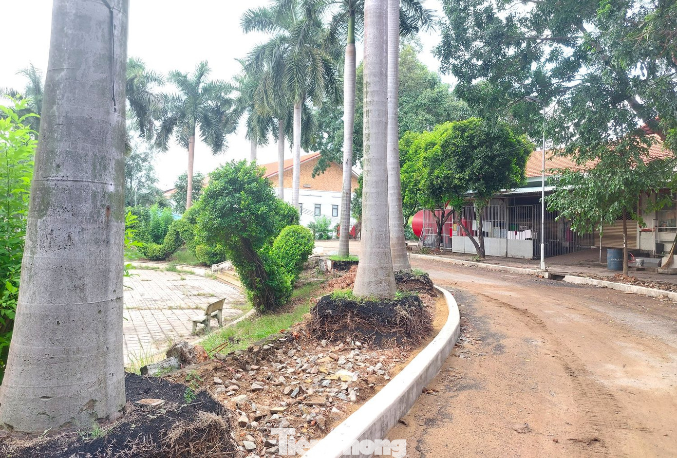 Công viên Thủ Dầu Một có nhiều cây lâu năm, rậm rạp khiến không gian tối, ẩm thấp và hiện đang được cải tạo, nâng cấp.