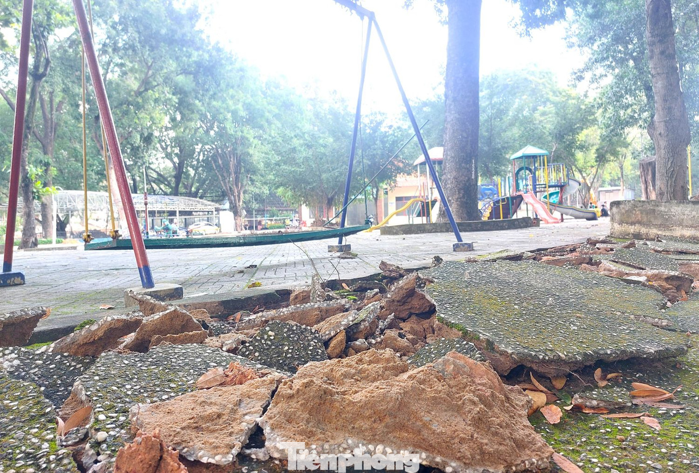 Trước đây, TP.Thủ Dầu Một giao công viên này cho một doanh nghiệp tiền thân có vốn nhà nước quản lý. Đến tháng 4/2022, TP.Thủ Dầu Một tiếp nhận lại sau 12 năm để doanh nghiệp quản lý.