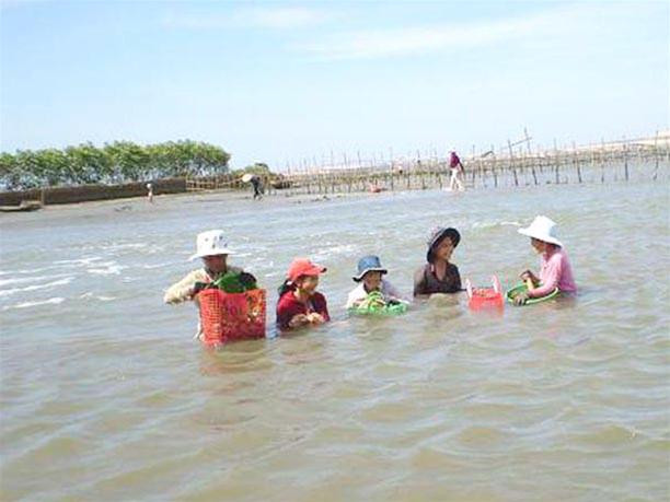 Vì những con hàu lớn, trẻ em của làng Câu Thẻo sao nhãng học hành