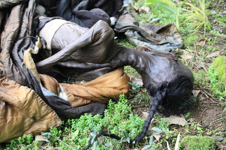 Tóc tết dài. Tóc tết dài