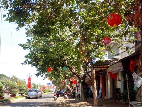 Lồng đèn Trung Quốc được giăng đầy con đường lớn nhất huyện Châu Đức, tỉnh Bà Rịa - Vũng Tàu