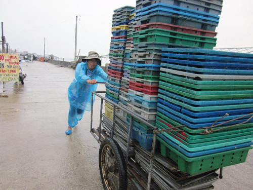 Di chuyển đồ tránh bão tại xã Ngư Lộc, huyện Hậu Lộc, Thanh Hóa. Ảnh: Hoàng Lam