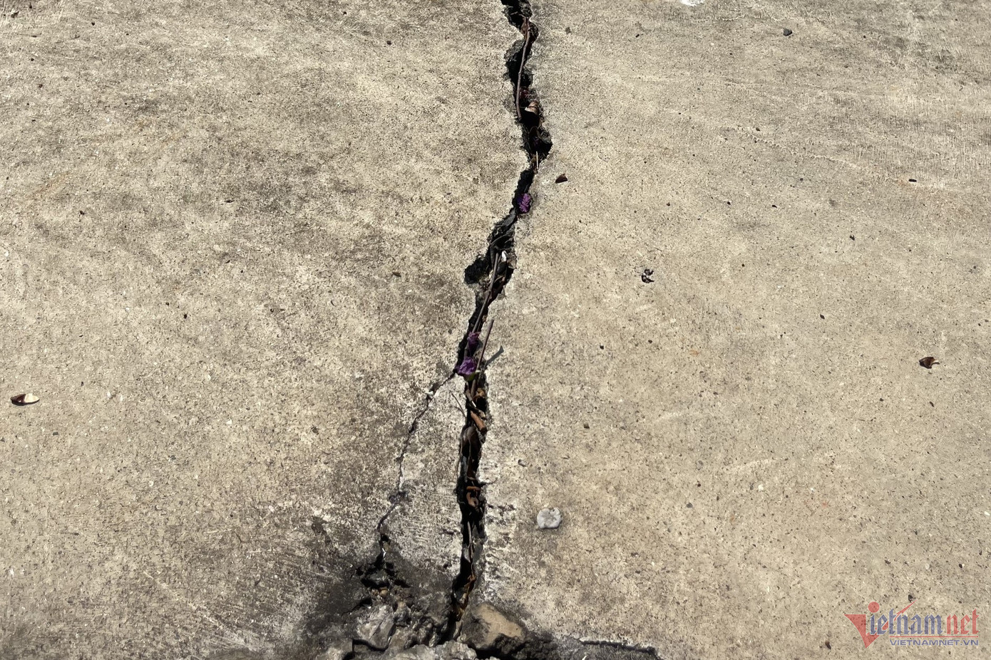 Vết nứt lớn tại khu vực góc sân hoa viên. Ảnh: Hải Dương. Vết nứt lớn tại khu vực góc sân hoa viên. Ảnh: Hải Dương.