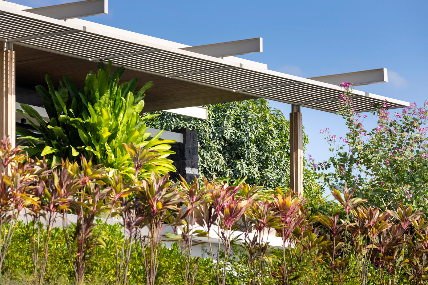 Do đó, kiến trúc sư lên ý tưởng thiết kế căn nhà cấp 4, với điểm nhấn là một loạt giàn che trang nhã.