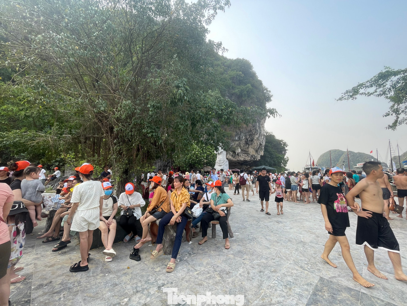 Qua khảo sát, các tour thăm quan vịnh Hạ Long có giá trung bình khoảng 760.000 đồng đến 1 triệu đồng/ người, bao gồm tiền vé tàu, vé thăm quan các điểm và chi phí ăn uống trên tàu. Với combo này, du khách sẽ có khoảng 6 tiếng để thăm thú và tắm trên đảo.