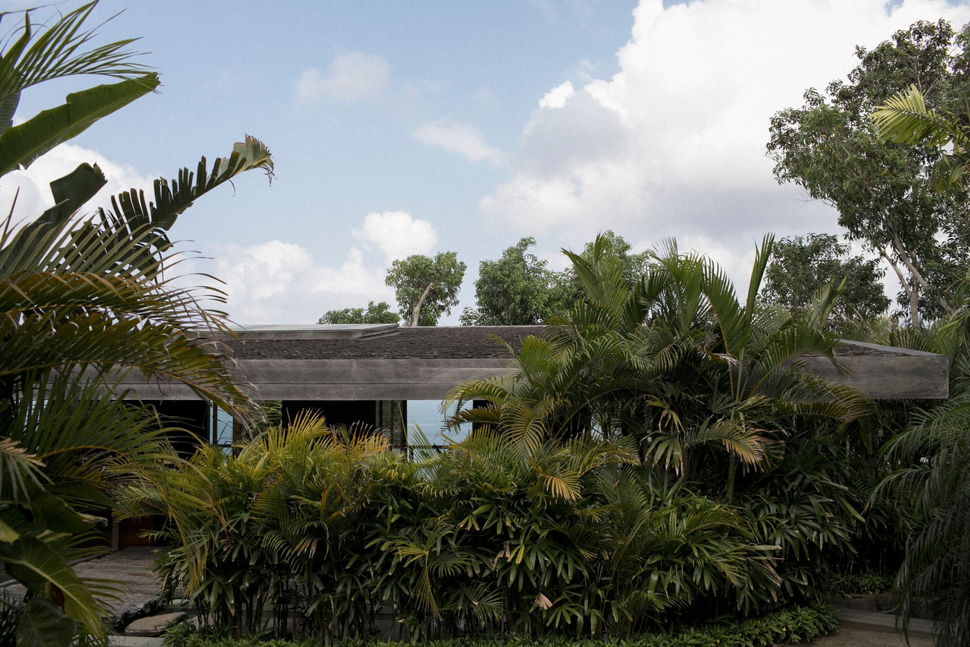 Ngôi nhà hạn chế tiêu tốn điện năng của điều hòa vì có cây cối xanh mát bao quanh. Ngôi nhà hạn chế tiêu tốn điện năng của điều hòa vì có cây cối xanh mát bao quanh.