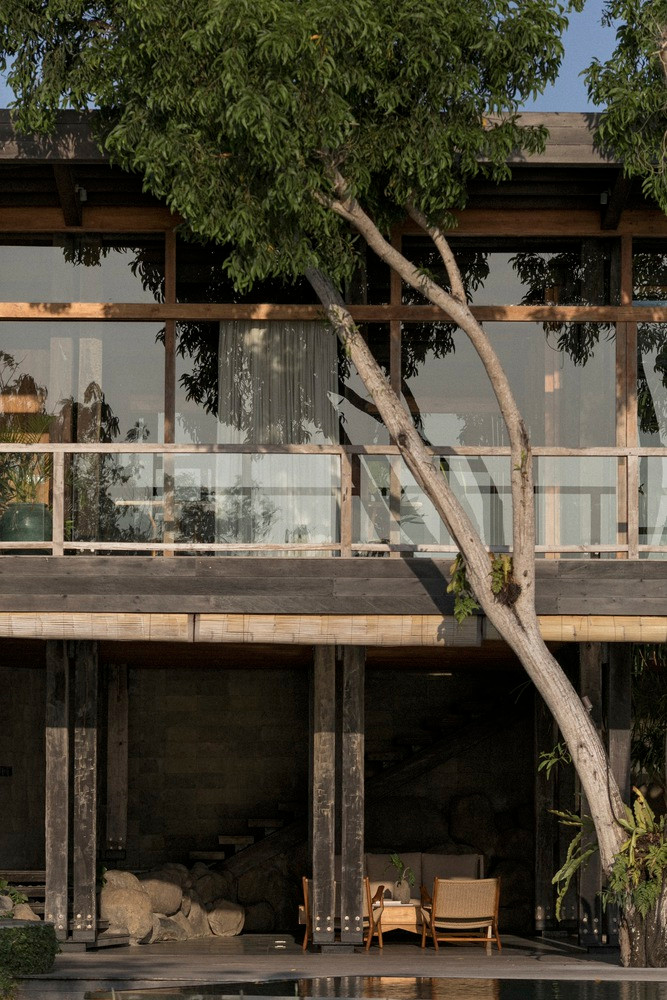 Kiến trúc sư bố trí cây dứa dại ở sân, giúp hút ánh sáng tự nhiên vào sảnh hồ bơi và góp phần thông gió chéo tự nhiên tốt. Kiến trúc sư bố trí cây dứa dại ở sân, giúp hút ánh sáng tự nhiên vào sảnh hồ bơi và góp phần thông gió chéo tự nhiên tốt.