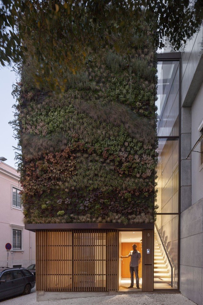 Các bức tường được bao phủ hoàn toàn bằng màu xanh thực vật, tạo ra một khu vườn thẳng đứng với khoảng 4.500 cây, thuộc 25 giống Địa Trung Hải và bán đảo Iberia, chiếm diện tích 100 m2.