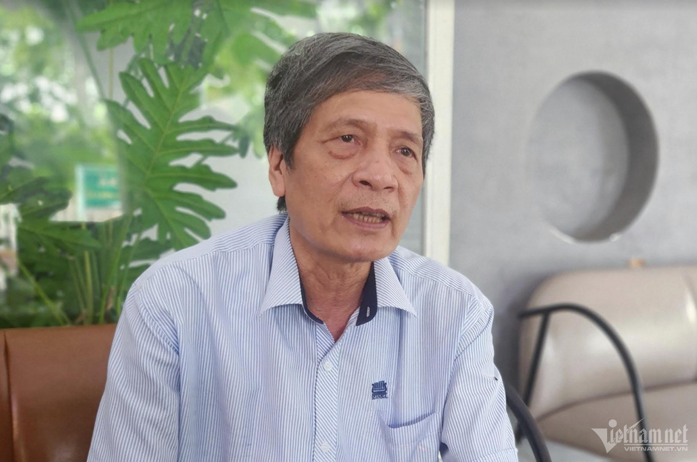 Không chỉ bán được tín chỉ carbon từ rừng tự nhiên, ông Doanh cho biết một diện tích lớn rừng trồng gỗ lớn ở Quảng Trị được cấp Chứng chỉ FSC. Ảnh: Hiền Anh.