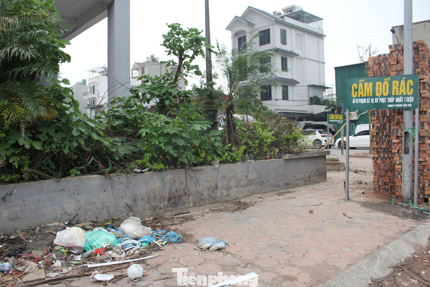 Rác thải, phế liệu ngập tràn xung quanh khu nhà, mặc dù đã có biển cấm.