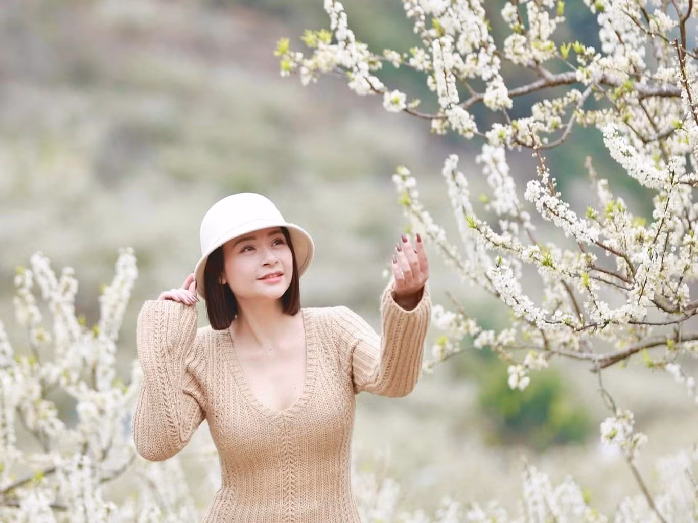 Theo ghi nhận, nhiều du khách đã đổ về các khu vực nổi tiếng như thung lũng Nà Ka, rừng mận Mu Náu hay bản Áng để chiêm ngưỡng và ghi lại những khoảnh khắc đẹp nhất của mùa hoa. Các homestay, dịch vụ lưu trú tại Mộc Châu cũng ghi nhận lượng khách tăng cao trong những ngày cao điểm. Ảnh: Phạm Thu Hằng