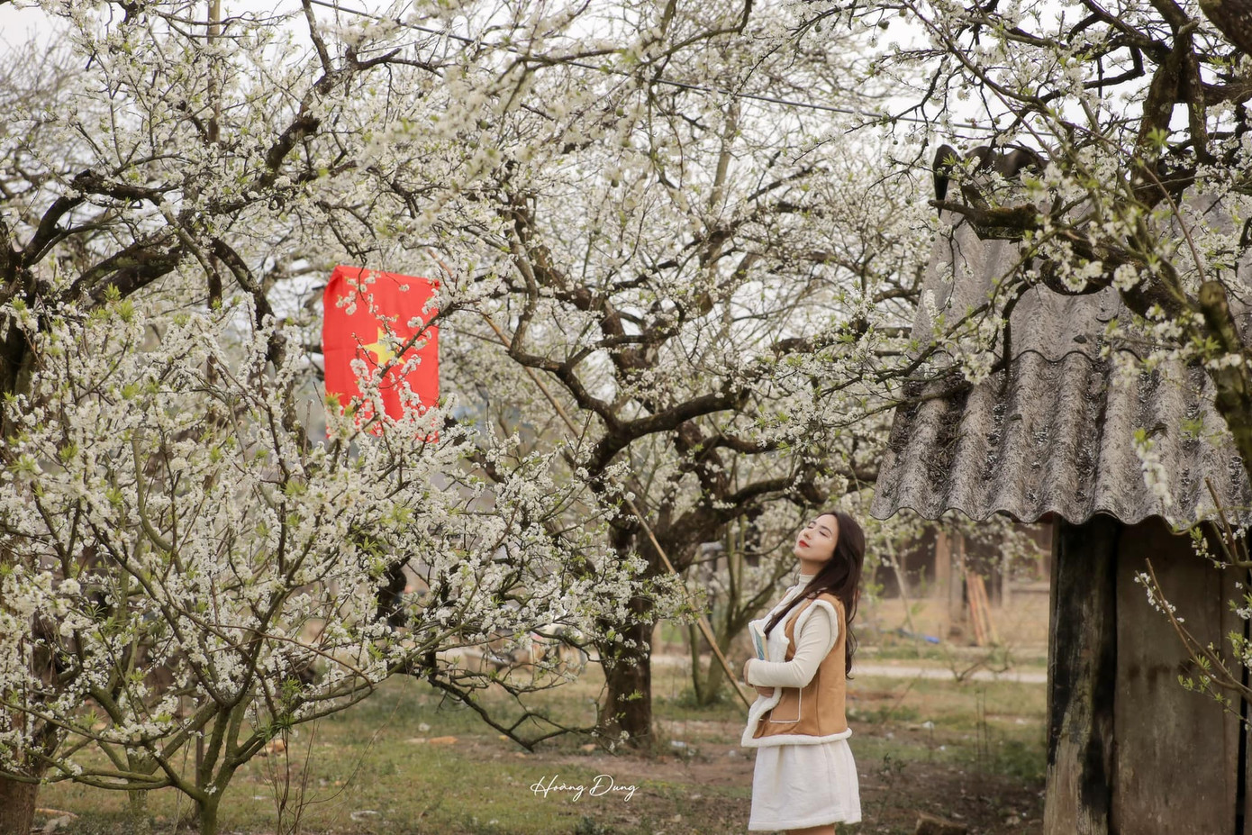 Để có những bức ảnh đẹp và nổi bật giữa sắc trắng của hoa mận, nhiều bạn trẻ chọn trang phục với gam màu nổi bật như đỏ, vàng, cam, nâu đất hoặc xanh dương... Ảnh: Hoàng Dung Để có những bức ảnh đẹp và nổi bật giữa sắc trắng của hoa mận, nhiều bạn trẻ chọn trang phục với gam màu nổi bật như đỏ, vàng, cam, nâu đất hoặc xanh dương... Ảnh: Hoàng Dung