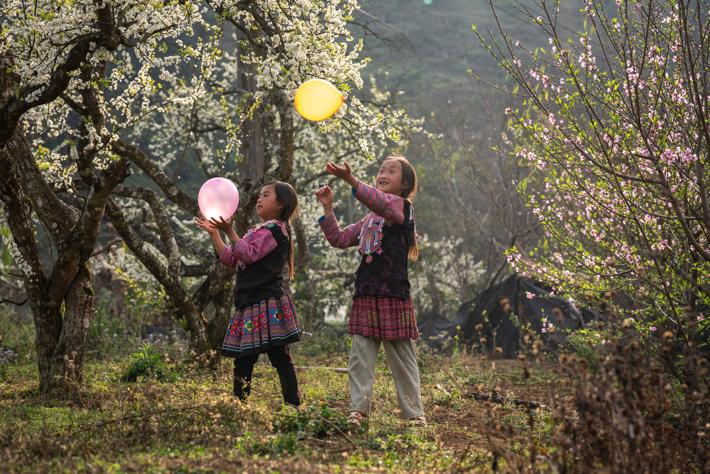 Với địa hình đặc trưng của vùng cao nguyên, Mộc Châu không chỉ mang đến không gian thiên nhiên hùng vĩ mà còn là nơi lý tưởng để trải nghiệm văn hóa bản địa. Ảnh: Vũ Minh Hiển Với địa hình đặc trưng của vùng cao nguyên, Mộc Châu không chỉ mang đến không gian thiên nhiên hùng vĩ mà còn là nơi lý tưởng để trải nghiệm văn hóa bản địa. Ảnh: Vũ Minh Hiển