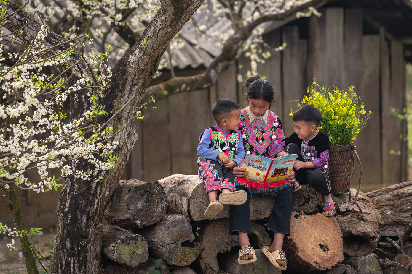 Với địa hình đặc trưng của vùng cao nguyên, Mộc Châu không chỉ mang đến không gian thiên nhiên hùng vĩ mà còn là nơi lý tưởng để trải nghiệm văn hóa bản địa. Ảnh: Vũ Minh Hiển Với địa hình đặc trưng của vùng cao nguyên, Mộc Châu không chỉ mang đến không gian thiên nhiên hùng vĩ mà còn là nơi lý tưởng để trải nghiệm văn hóa bản địa. Ảnh: Vũ Minh Hiển