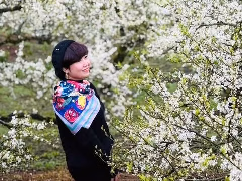 Du khách như được "lạc vào xứ sở thần tiên" bởi hoa mận phủ trắng núi đồi, thung lũng và ghi lại khoảnh khắc trong khung cảnh lãng mạn. Ngoài các triền đồi, du khách còn ngắm hoa mận trong các vườn nhà dân.