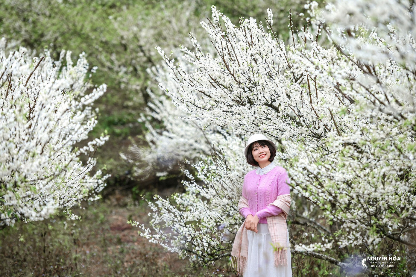 Du khách đến ngắm hoa mận cũng được lưu ý giữ vệ sinh môi trường, không bẻ cành, rung cây làm rụng hoa. Đặc biệt là tôn trọng người dân bản địa, xin phép trước khi vào vườn chụp ảnh, trả tiền (nếu có) để ủng hộ khích lệ người dân chăm sóc. Ảnh: Nguyễn Hòa, Đoàn Thúy Mỹ Du khách đến ngắm hoa mận cũng được lưu ý giữ vệ sinh môi trường, không bẻ cành, rung cây làm rụng hoa. Đặc biệt là tôn trọng người dân bản địa, xin phép trước khi vào vườn chụp ảnh, trả tiền (nếu có) để ủng hộ khích lệ người dân chăm sóc. Ảnh: Nguyễn Hòa, Đoàn Thúy Mỹ