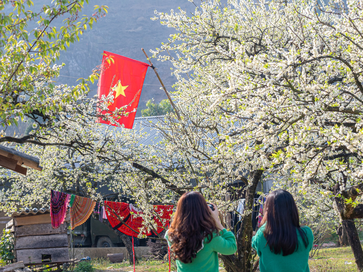 Với địa hình đặc trưng của vùng cao nguyên, Mộc Châu không chỉ mang đến không gian thiên nhiên hùng vĩ mà còn là nơi lý tưởng để trải nghiệm văn hóa bản địa. Ảnh: Vũ Minh Hiển Với địa hình đặc trưng của vùng cao nguyên, Mộc Châu không chỉ mang đến không gian thiên nhiên hùng vĩ mà còn là nơi lý tưởng để trải nghiệm văn hóa bản địa. Ảnh: Vũ Minh Hiển