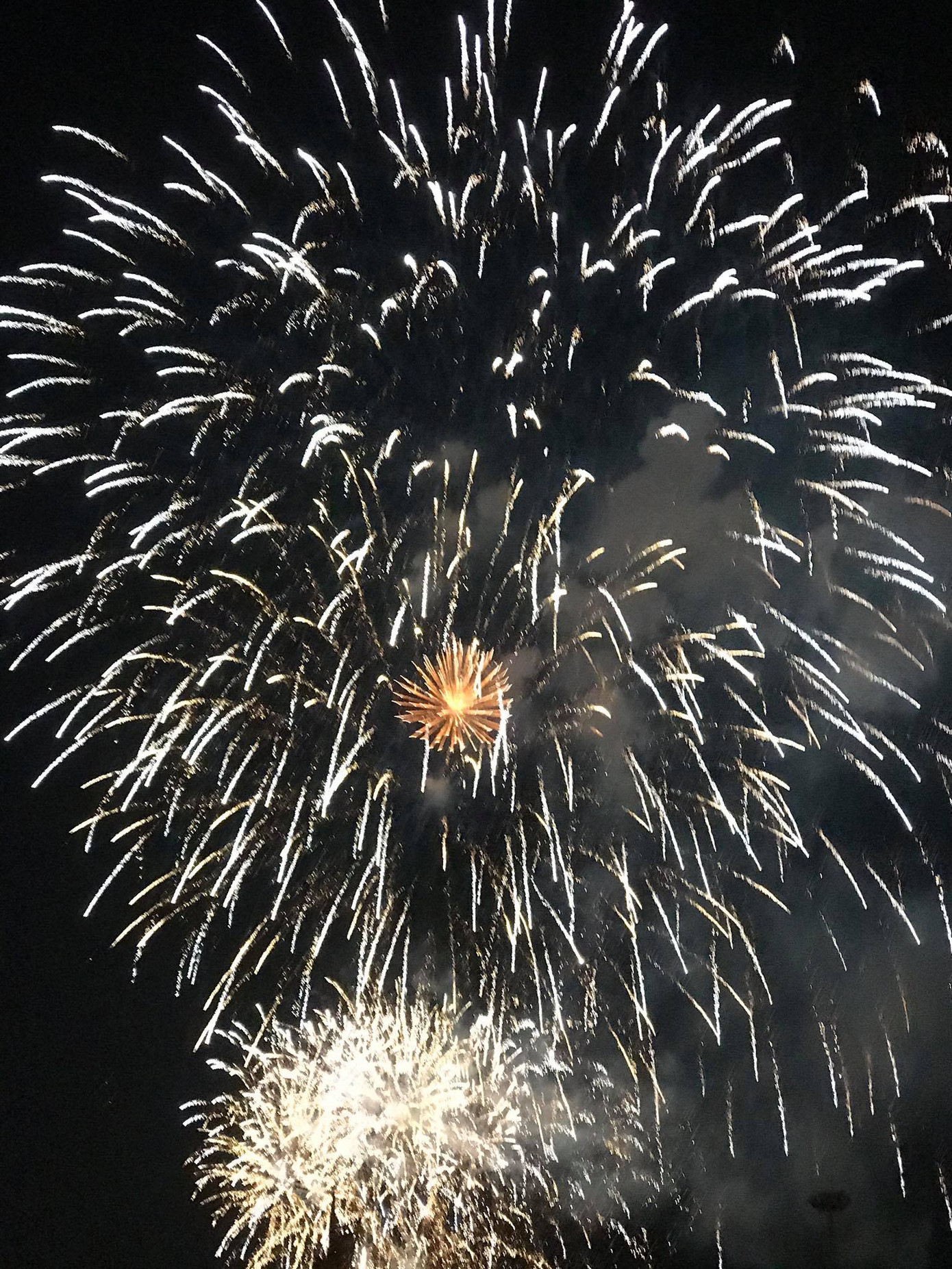 Pháo hoa rực sáng bầu trời, Việt Nam bước sang năm mới 2021 ảnh 10