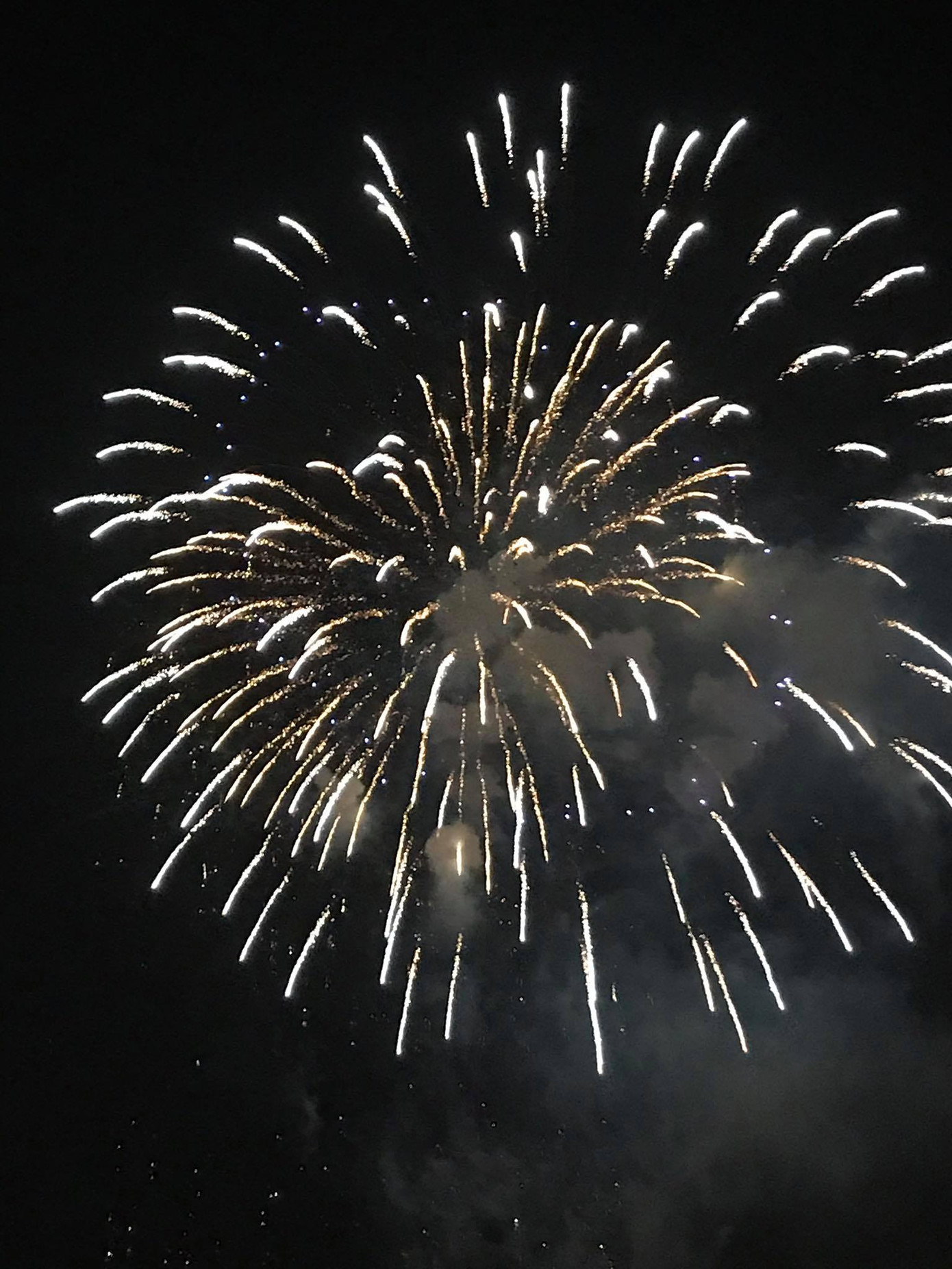 Pháo hoa rực sáng bầu trời, Việt Nam bước sang năm mới 2021 ảnh 9