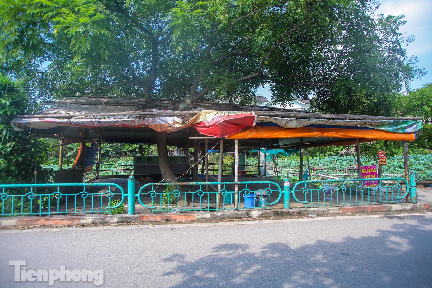 Khu ki-ốt dịch vụ &quot;ăn theo&quot; mùa sen đều hoang vắng vì không có khách.