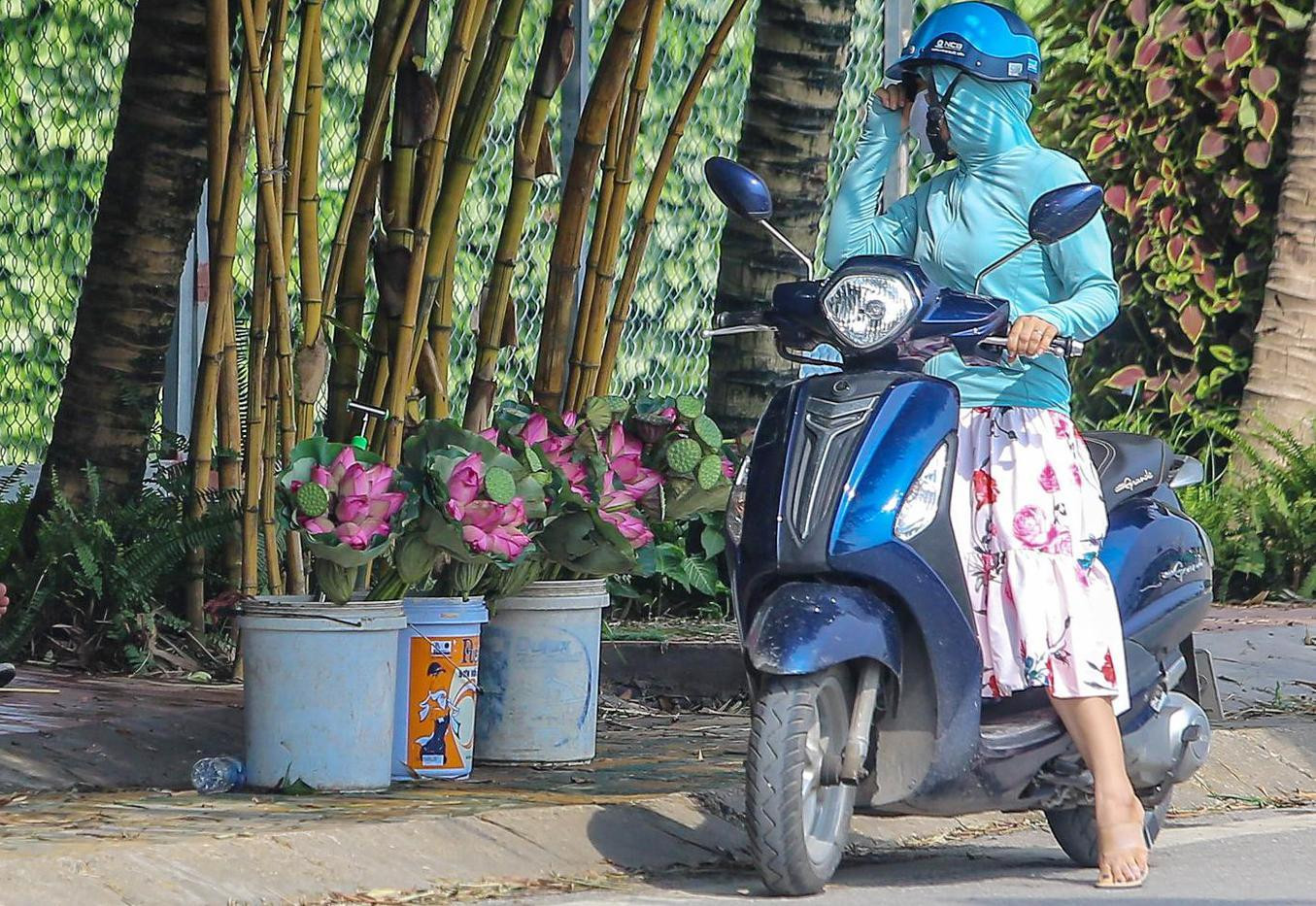 Nhiều người đành đem sen ra ngoài bán để &quot;vớt&quot; lại chút vốn. Giá 10 bông sen khoảng 150.000 đồng.