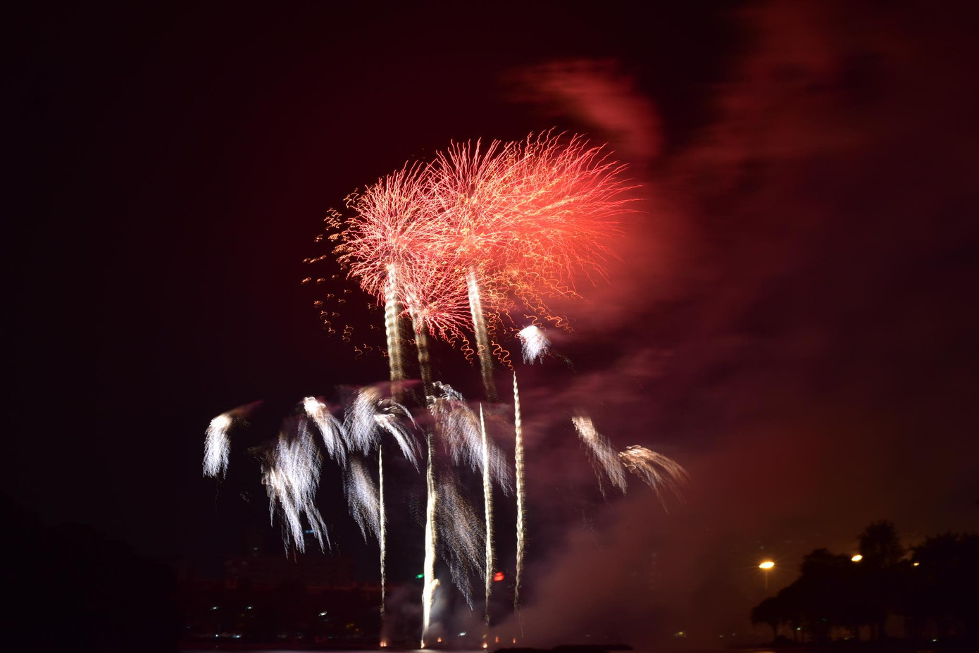 Cả nước chính thức bước sang năm mới Tân Sửu 2021 ảnh 2