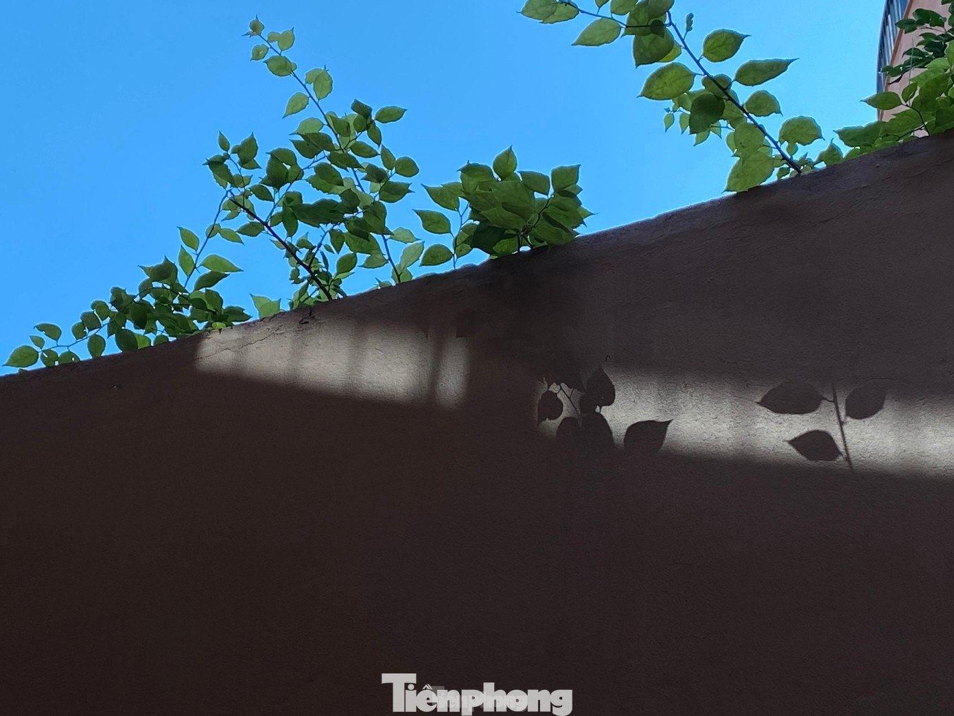 Khách tham quan không chỉ được xem các vật phẩm trưng bày, tham gia các sự kiện về gốm, mà còn có thể đứng trên tầng thượng bảo tàng ngắm cảnh, với không gian đầy cây xanh tươi mát.