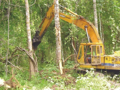 Khai hoang đất rừng nghèo trồng cao su ở Gia Lai
