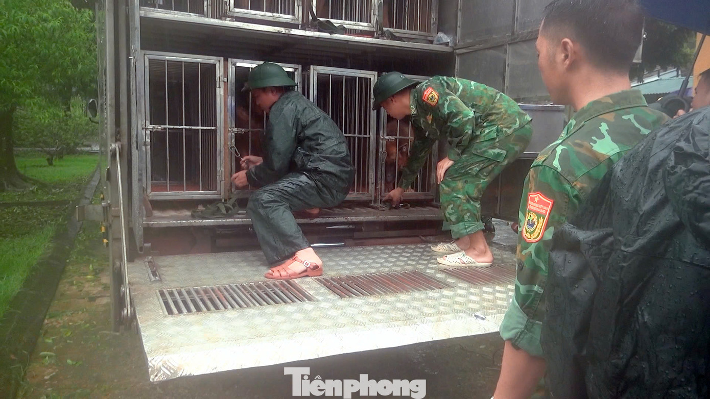 Lực lượng tìm kiếm cứu nạn của Trường Trung cấp 24 Biên phòng chuẩn bị lên đường đến thôn Làng Nủ. Lực lượng tìm kiếm cứu nạn của Trường Trung cấp 24 Biên phòng chuẩn bị lên đường đến thôn Làng Nủ.