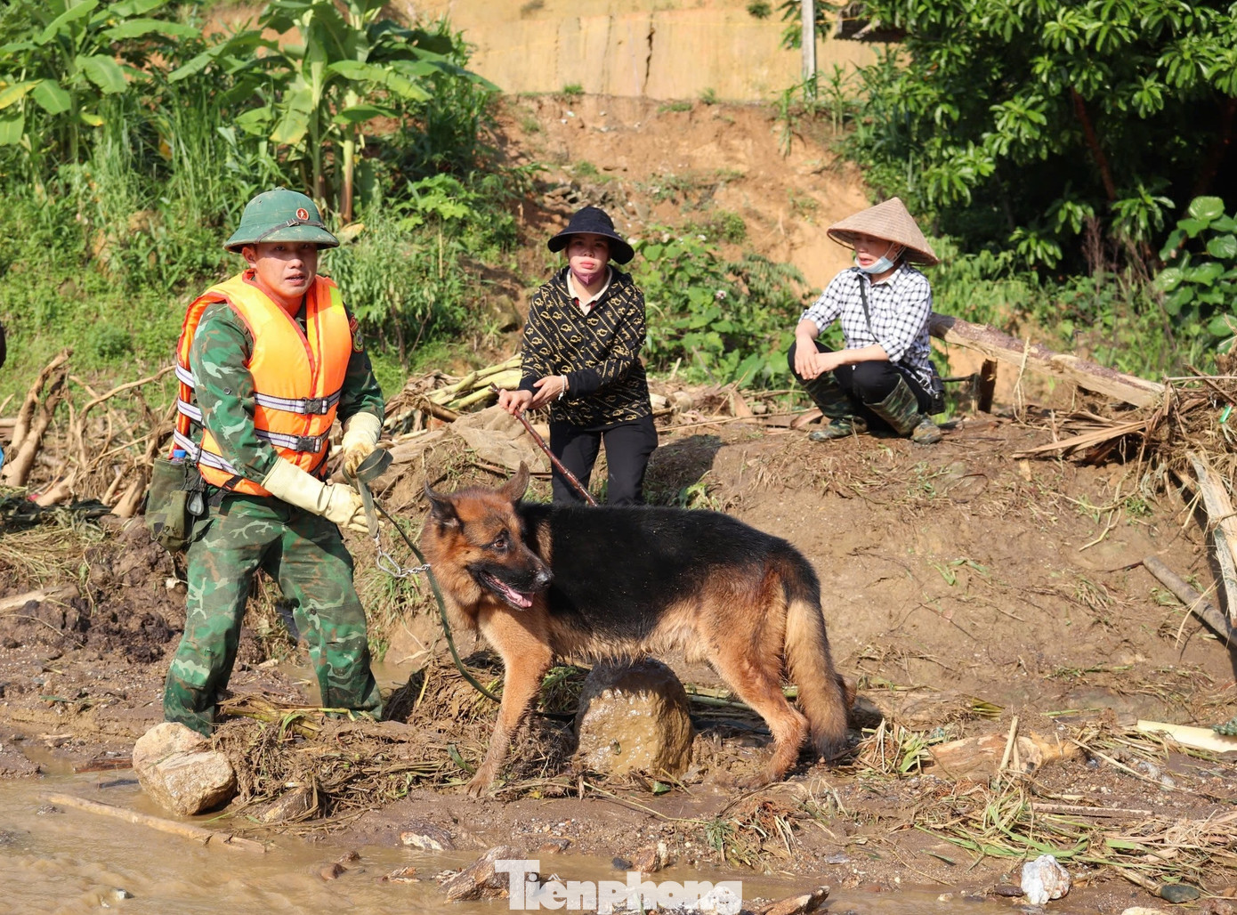 Cán bộ, chiến sĩ và chó nghiệp vụ Bộ đội Biên phòng đang tìm kiếm nạn nhân mất tích ở thôn Làng Nủ.