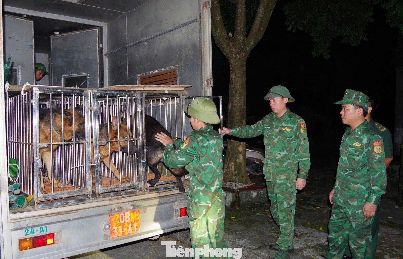 Sự tham gia của lực lượng huấn luyện viên và chó nghiệp vụ Bộ đội Biên phòng có vai trò rất quan trọng trong công tác tìm kiếm các nạn nhân bị mất tích, đặc biệt trong điều kiện hiện trường sạt lở khó tiếp cận và khối lượng lớn bùn đất vùi lấp lớn.