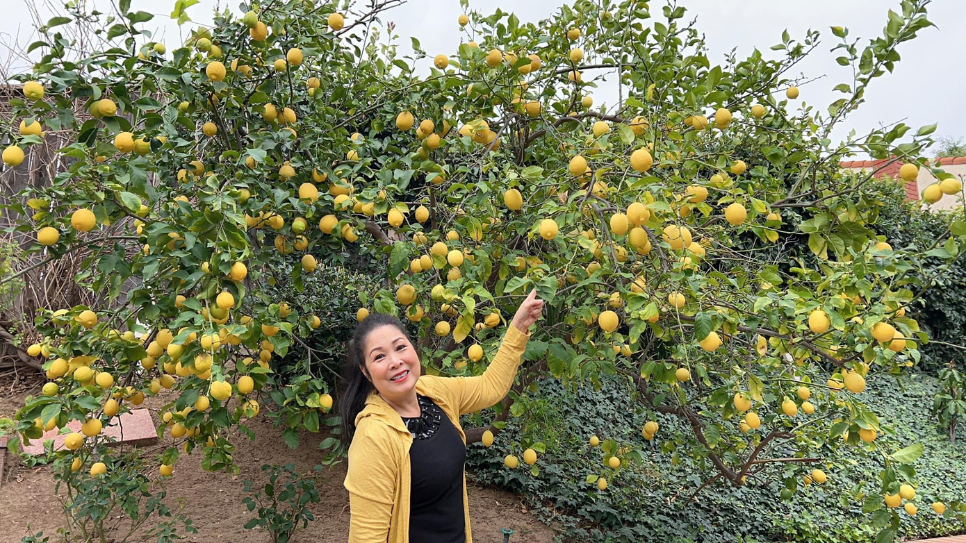 Hồng Vân chia sẻ những khoảnh khắc đời thường ở Mỹ.