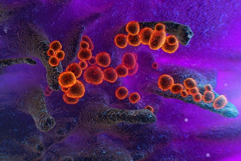 Virus càng lây lan càng có cơ hội biến đổi để tạo ra các biến chủng mới (Ảnh minh họa: Shutterstock).