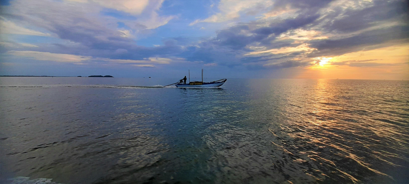 Khi mặt trời ló dạng thì cũng chính là lúc các ghe câu tắt đèn, liên hệ với nhau để biết được là bạn câu trúng hay thất (được nhiều hay ít mực), mọi người cùng thu cần và vào bờ cùng nhau để bán chiến lợi phẩm từ biển khơi.