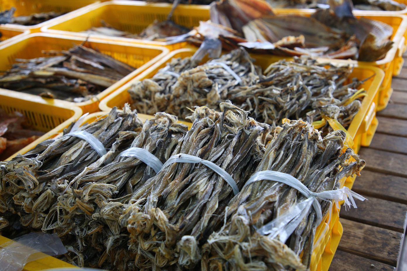 Các loại cá khô ở đây có giá từ vài chục ngàn đến vài trăm ngàn đồng/kg, thậm chí 4 - 5 triệu đồng/kg, khách hàng dễ dàng lựa chọn theo nhu cầu.