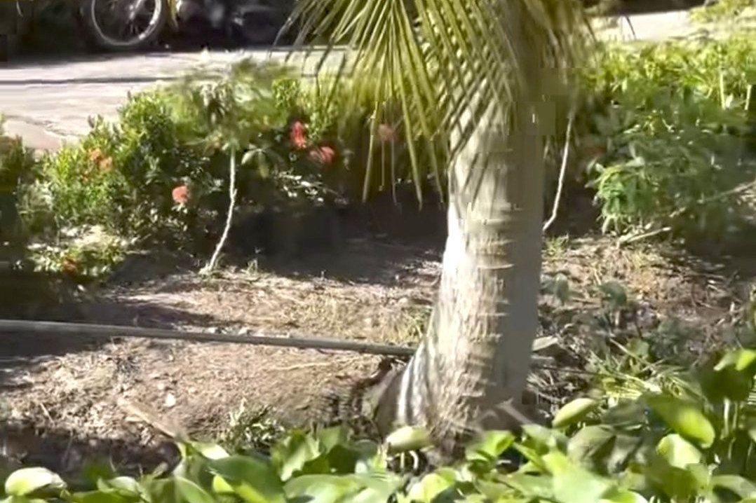 Hiện trường nơi xảy ra vụ việc. Ảnh: QT.