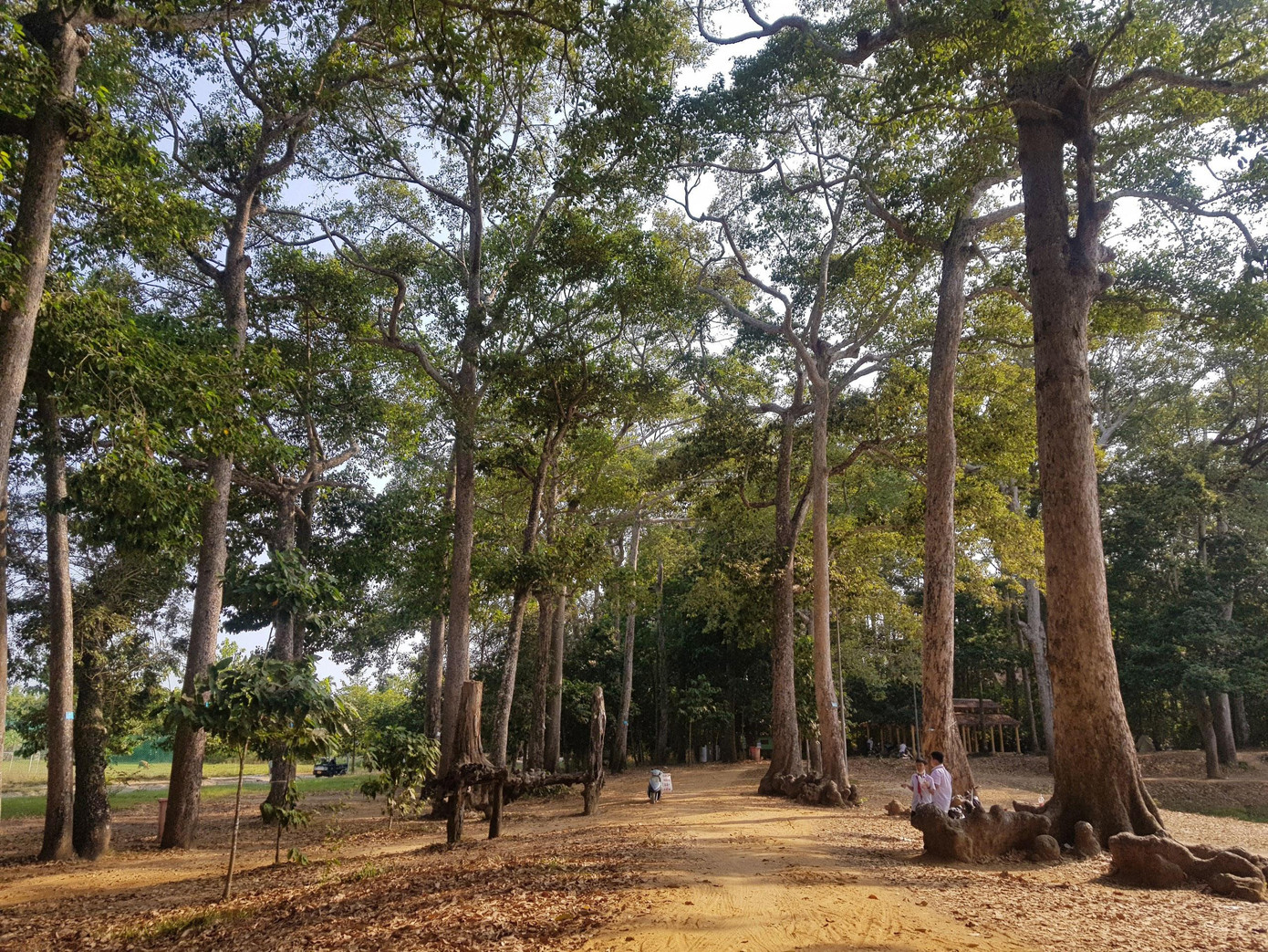 Khí hậu tại Ao Bà Om mát mẻ quanh năm nên được người dân Trà Vinh đặt tên là "Đà Lạt" thứ hai. Bao bọc quanh ao là rừng cây cổ thụ, đa số là cây sao, cây dầu hàng trăm tuổi.