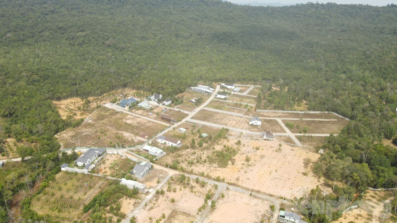 Những thửa đất bị phân lô trái phép. Ảnh: Nhật Huy