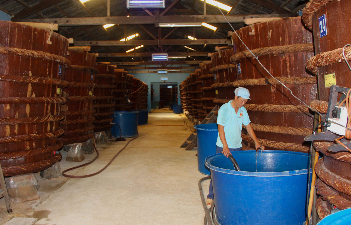 ‘Nghề làm nước mắm Phú Quốc’ được công nhận là di sản phi vật thể cấp quốc gia.