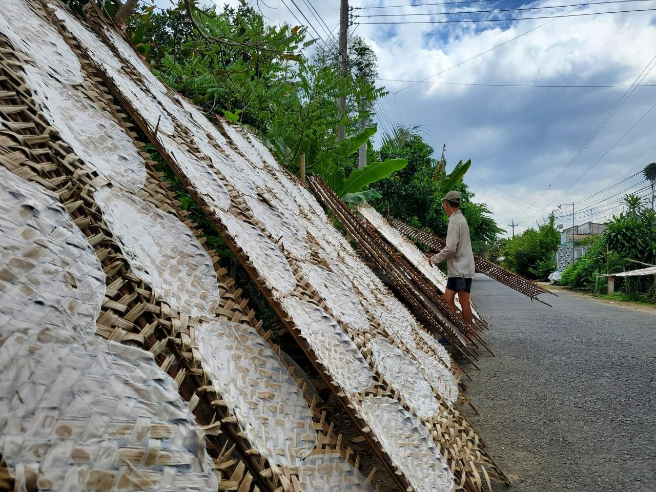 Với giá cả khác nhau như: Bánh tráng nướng tôm khô 700.000/100 chiếc; bánh tráng nướng mè 500.000/100 chiếc; bánh tráng nhúng, bánh tráng nem 120.000/100 chiếc; bánh tráng ớt 180.000/100 chiếc; bánh tráng ngọt sữa 300.000/100 chiếc, bánh tráng thanh long 320.000/100 chiếc,...