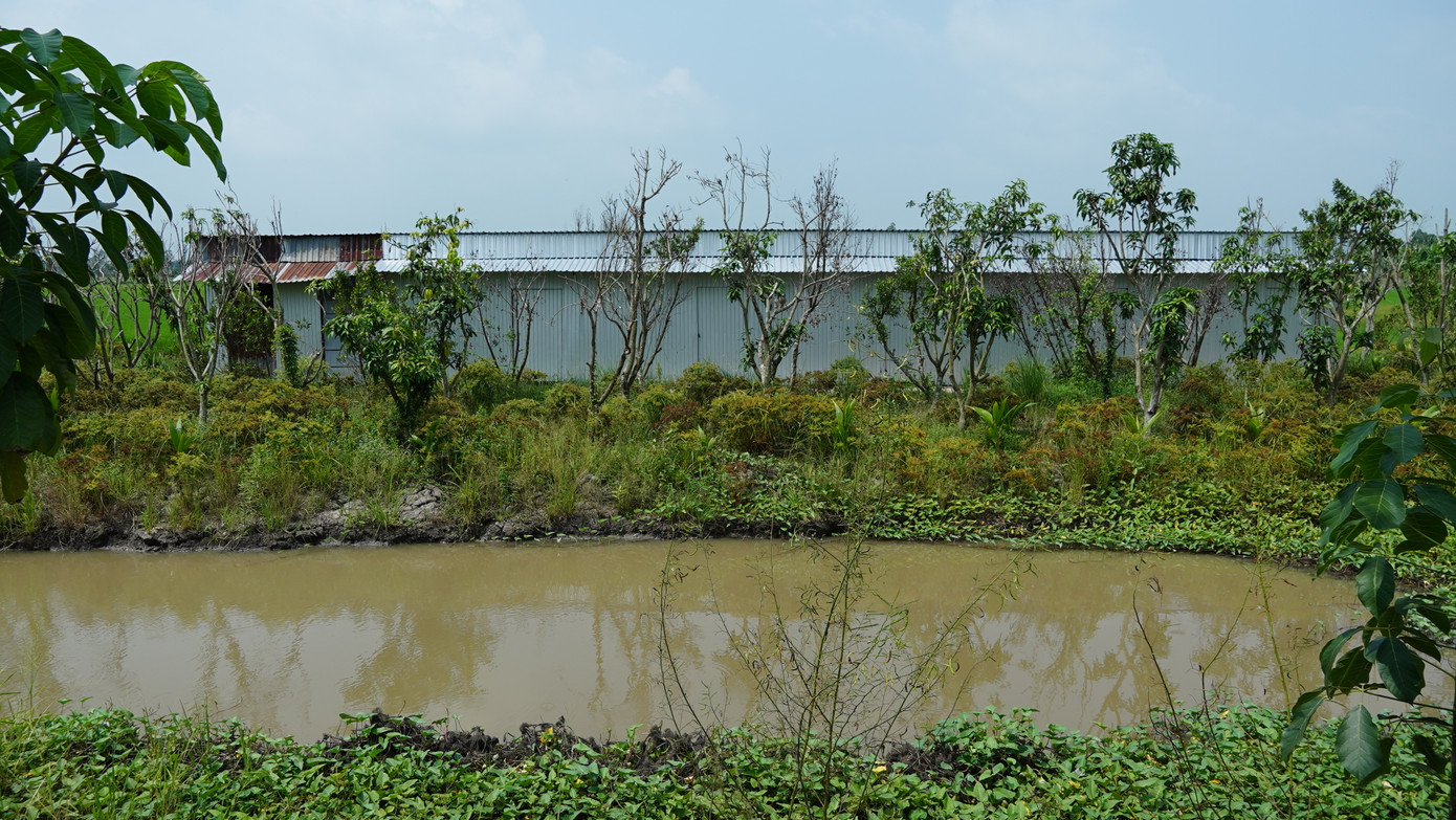 6 căn nhà liền nhau được xây dựng trên đất lúa. Ảnh: Nhật Huy.