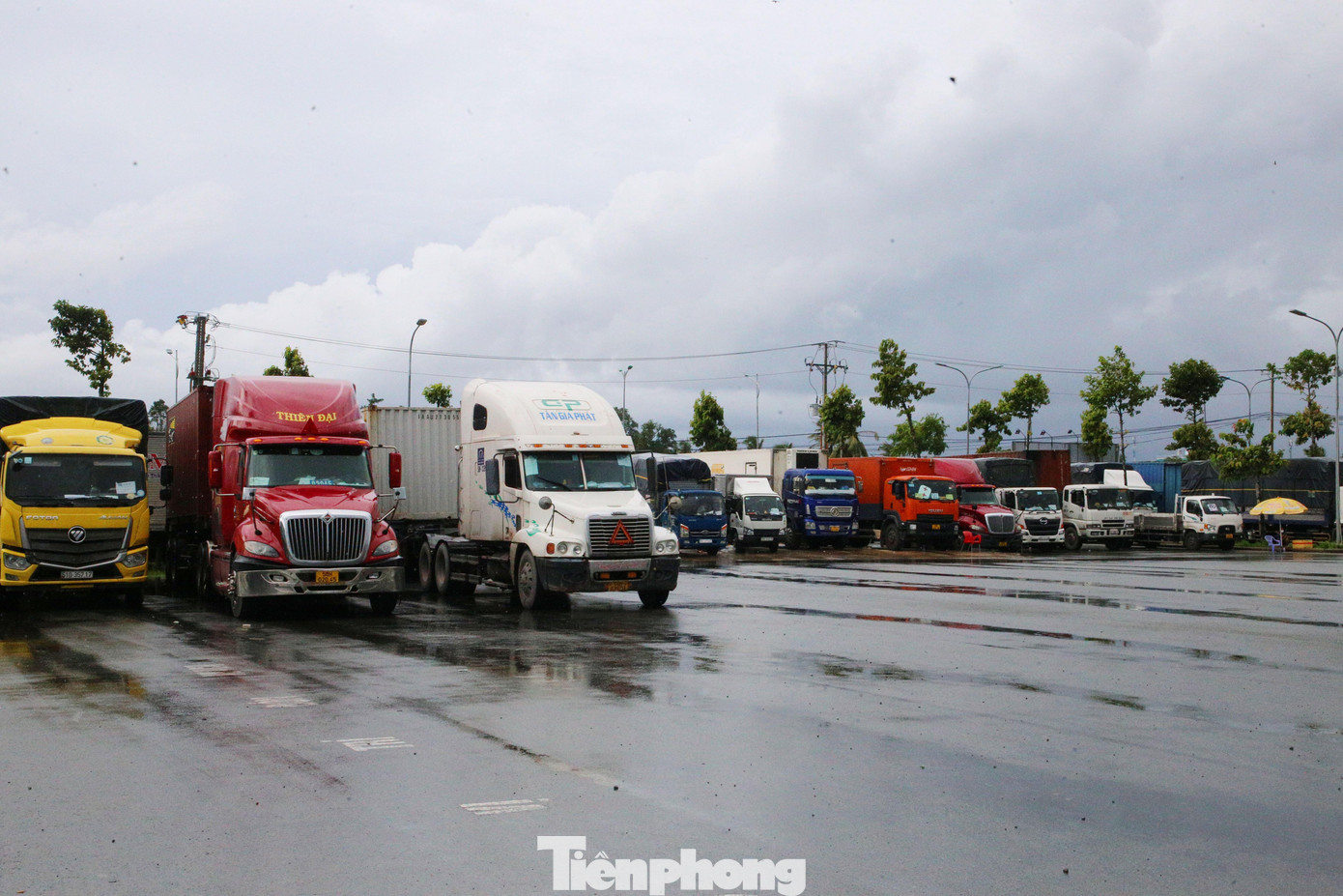 Trước đó, ngày 21/8, UBND TP. Cần Thơ ban hành công văn quy định tất cả phương tiện vận chuyển hàng hóa tiêu dùng, xuất nhập khẩu, vận chuyển hàng phục vụ xây dựng, sản xuất, kinh doanh... từ các tỉnh, thành khác đến Cần Thơ để giao nhận hàng hóa đều phải đăng ký trước, thời gian thực hiện từ ngày 23/8. Nếu không đăng ký trước thì lực lượng làm nhiệm vụ sẽ không cho phương tiện vào địa bàn thành phố.