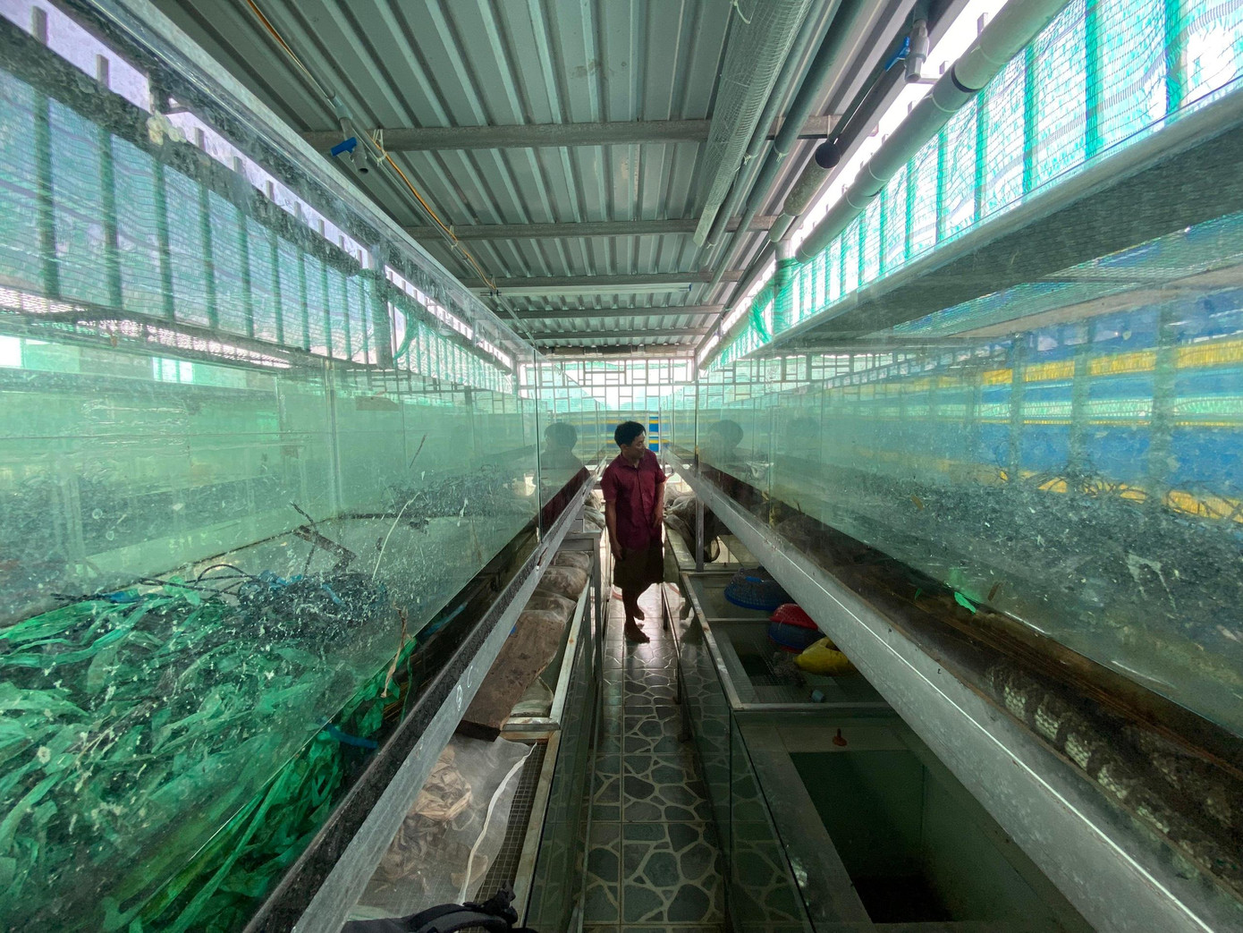 Tầng 3 của ngôi nhà, anh Ngôn làm nơi nuôi rắn. Tầng 3 của ngôi nhà, anh Ngôn làm nơi nuôi rắn.