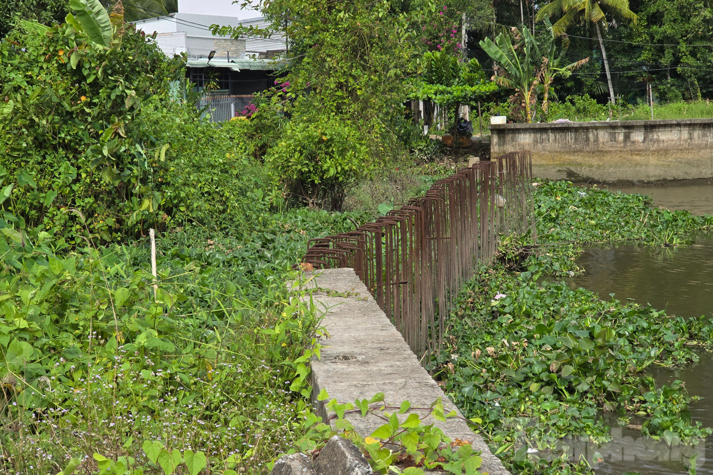 Kè được thiết kế xây dựng kiên cố, với đỉnh kè cao 2,8 m, có hệ thống lan can, thu gom và thoát nước thải, chiếu sáng công cộng, vỉa hè, đường giao thông rộng rãi… Dự án nhằm ứng phó với tình trạng biến đổi khí hậu đang ngày càng diễn biến khó lường.