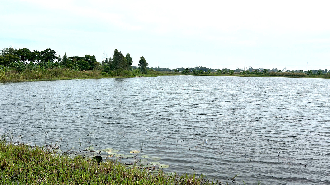 Nhiều thửa ruộng bị khai thác lớp đất mặt đã biến thành ao nước lớn.