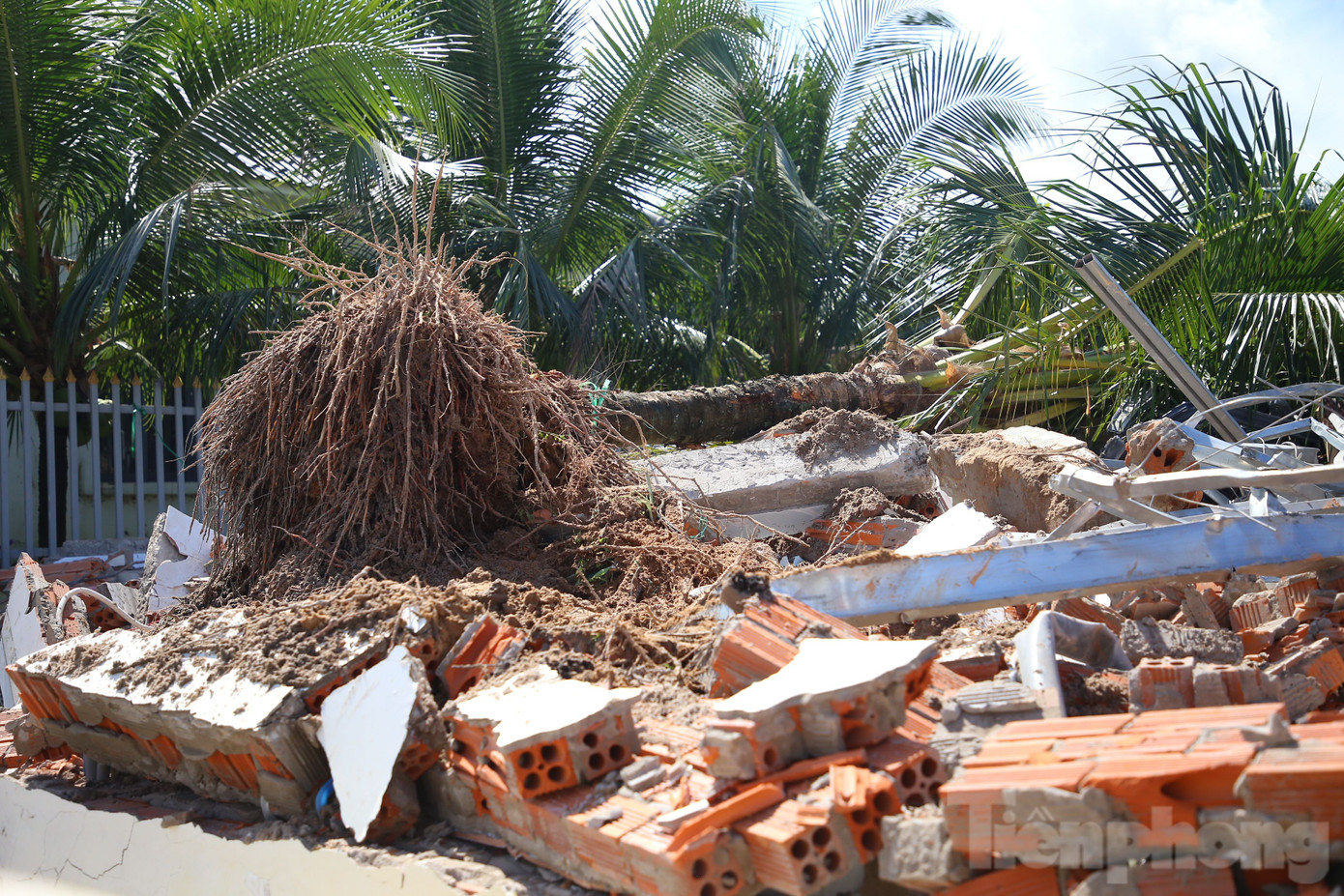 Dự kiến, trong tháng 10, TP. Phú Quốc sẽ hoàn chỉnh hồ sơ, cưỡng chế các căn còn lại trên tinh thần làm quyết liệt, không có vùng cấm.