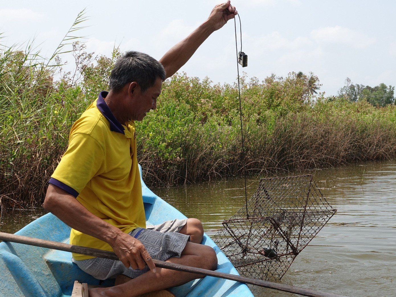 Tôm, cua của người dân huyện An Minh, tỉnh Kiên Giang chết rải rác trong những ngày qua. Tôm, cua của người dân huyện An Minh, tỉnh Kiên Giang chết rải rác trong những ngày qua.