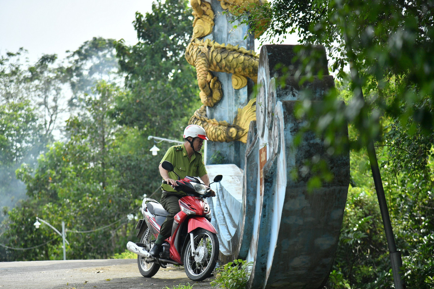 Lực lượng chức năng đang khẩn trương truy tìm 6 con cá sấu sổng chuồng.