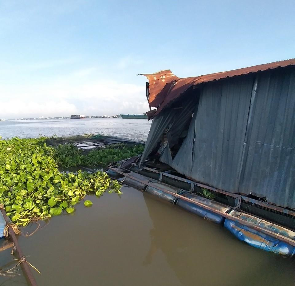 Vụ tai nạn làm hơn 9 tấn cá thoát ra sông.